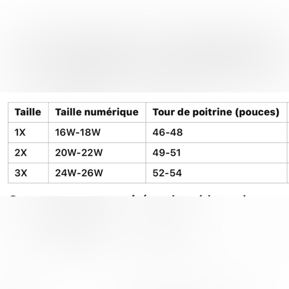 BIANCA NYGARD black & White stripped blouse size 1x ⚠️ - Picture 11 of 11